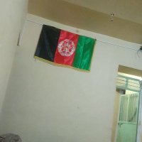 قاسیم حیدری (@qdksjtcm2oxw8rr) 's Twitter Profile