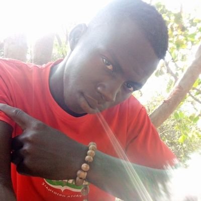 LaminAColley1's profile picture. 