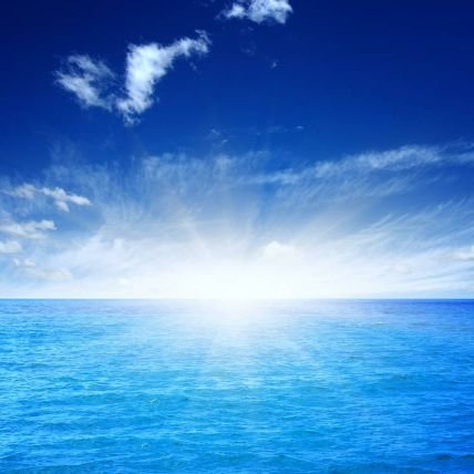 Ocean_Liu028's profile picture. International Business Manager from Sichuan Branch of Hongcheng that professional powder processing comprehensive solution provider since 1999.