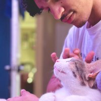 Nolan (@trulynative_) 's Twitter Profile Photo