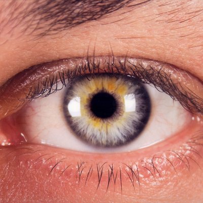 OHuechuraba's profile picture. Somos Observadoras de todo lo que pasa en la comuna de #huechuraba #nomáscorrupcion #huechurabalibre