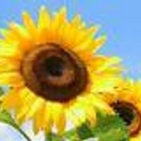Oekostrom (@oekostrom1) 's Twitter Profile Photo Oekostrom (@oekostrom1) 's Twitter Profile Photo