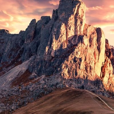 tree_hager's profile picture. 