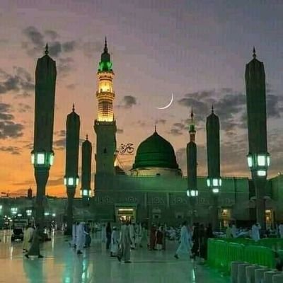 najnin58246521's profile picture. 