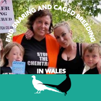 Lorraine Surringer (@lozza61) 's Twitter Profile