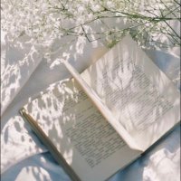 Let Me Do Your Homework (@aplusforyou1) 's Twitter Profile