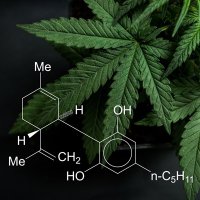 Heagealicious Edibles (@heagealicious) Twitter profile photo