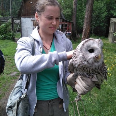 IONDKKSMDD's profile picture. 