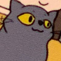angelica silva ʚ♡ɞ DOKIWATCH ʚ♡ɞ (@shroomcatt) 's Twitter Profile