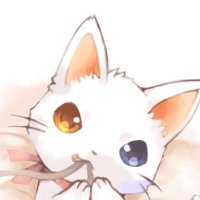 cat day(@catday16) 's Twitter Profile Photo