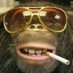 ASX Monkey (@asxmonkey) Twitter profile photo ASX Monkey (@asxmonkey) Twitter profile photo
