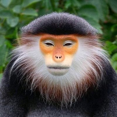 OnRafiki's profile picture. Crypto to the Mars