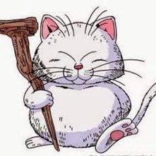 coincat10's profile picture. Let's go to the moon