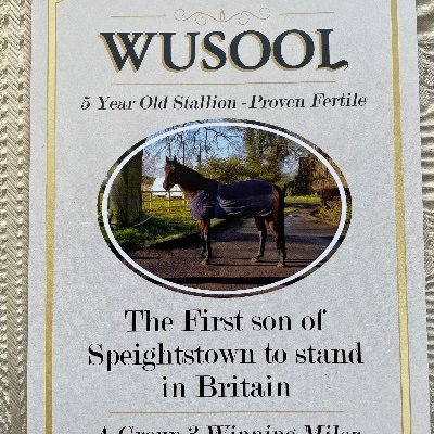 Lillinghallstud's profile picture. Lilling Hall stud