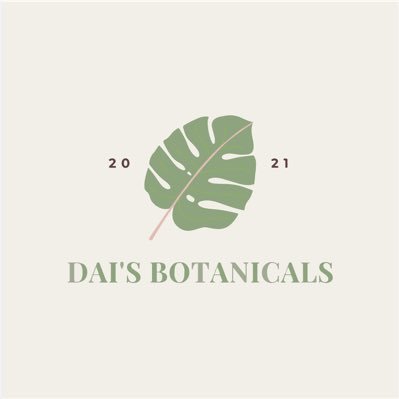 DaisBotanicals's profile picture. A Black-Owned botanica serving the community. We create natural and plant based products to help empower you on you life's journey.🔮🪐✨