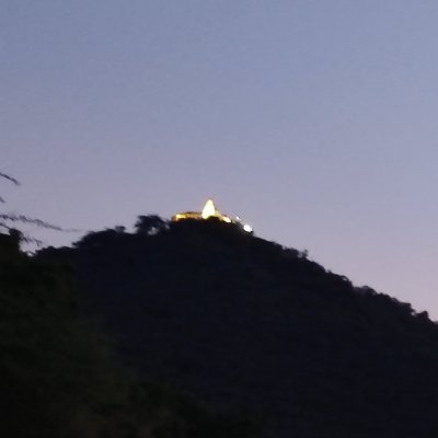 Shikari_01's profile picture. Vegetarian