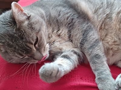 paris19_coba's profile picture. 