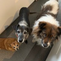 Paola B. (@bsorato) 's Twitter Profile Photo