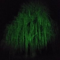 Lisa Farrell (@lisamrc8) 's Twitter Profile