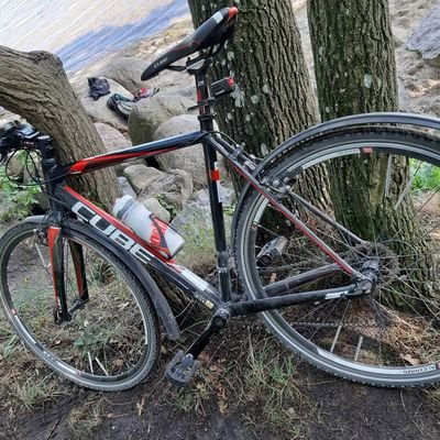 mad_zelder's profile picture. 