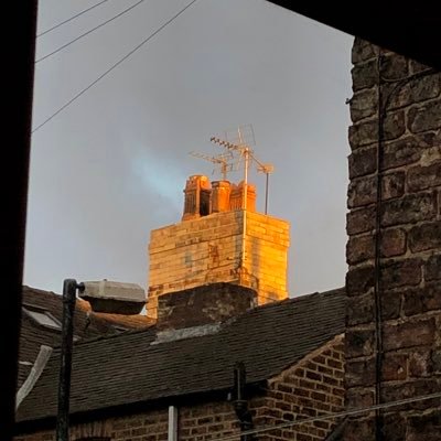 Marion_dutton1's profile picture. Bio