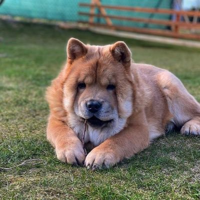 Matyysek19's profile picture. 