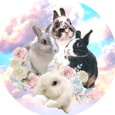 comiichan's profile picture. カメラマンやってます🐰もやしめじぽんかんだいふく🐰うさぎと共に生きる！日本うさぎ羊毛フェルト協会認定作家 みやびさんとラビネスフェスタ運営やってます うさフェス秋でます！お仕事ご依頼はgomiichan@yahoo.co.jp まで