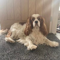 Miss Hampton (@misshampton4) 's Twitter Profile Photo Miss Hampton (@misshampton4) 's Twitter Profile Photo