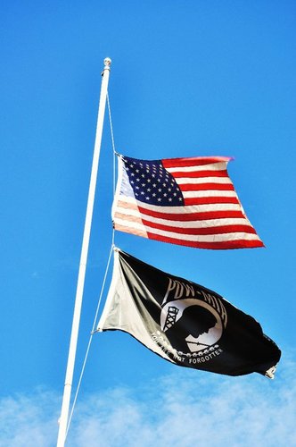 callahansteven's profile picture. The dunces are all in confederacy against me.