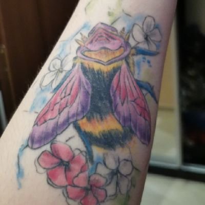 InP4elk's profile picture. 