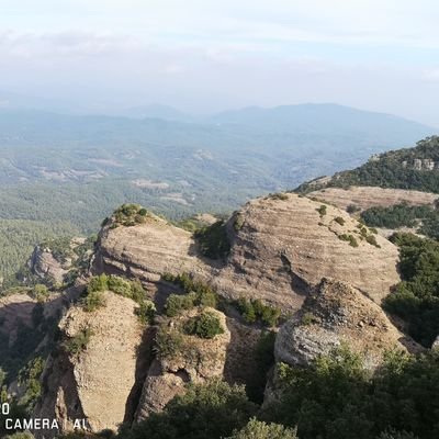 ToniCat29's profile picture. !!*!!