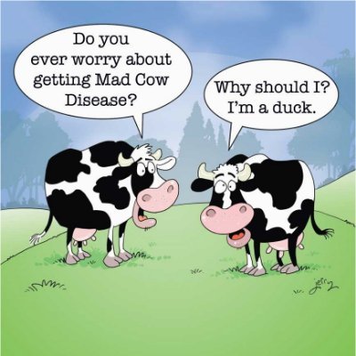I am a duck but haven't decided on my gender or pronouns yet. That's ok right? Everyone is doing it!