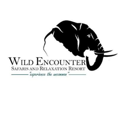 Safari Tours
Safari Guiding Training
Victoria Falls Activities
Accomodation Services
Airport Transfers
Travel packages
Massages, Pedicures and Manicure services
