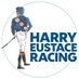 Harry Eustace (@H_Eustace) Twitter profile photo
