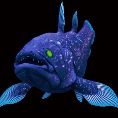シーラカンスさんのプロフィール画像