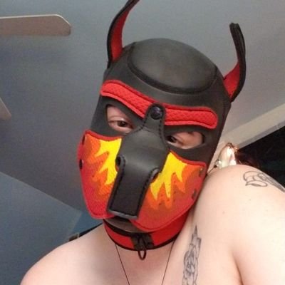 pup__benji's profile picture. trans guy