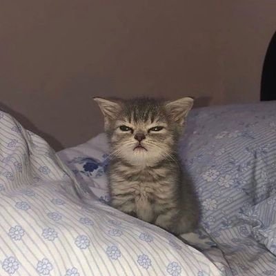 shellyydnik's profile picture. xx