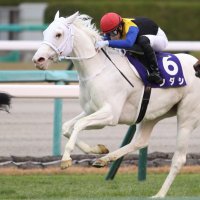 あい (@cfe6jg6qczsjtww) 's Twitter Profile Photo あい (@cfe6jg6qczsjtww) 's Twitter Profile Photo