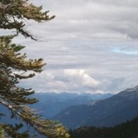 #TheMediaIsTheVirus (@frozenmn) 's Twitter Profile Photo