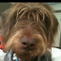 Roger Schonder (@rschonder) 's Twitter Profile