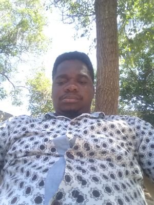 LJoazile's profile picture. Ing.Joazile Lebien