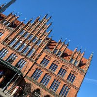 Bernadettefitzg (@bernadettefitzy) 's Twitter Profile Photo