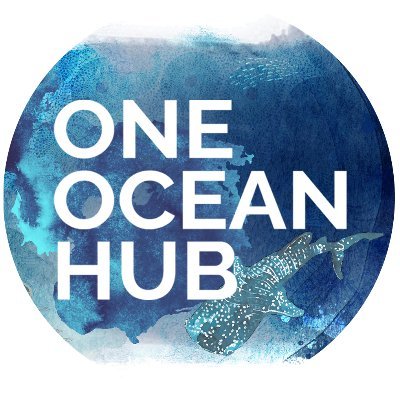 OneOceanHub Profile Picture