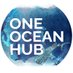 One Ocean Hub (@oneoceanhub) Twitter profile photo One Ocean Hub (@oneoceanhub) Twitter profile photo