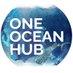 One Ocean Hub (@OneOceanHub) Twitter profile photo