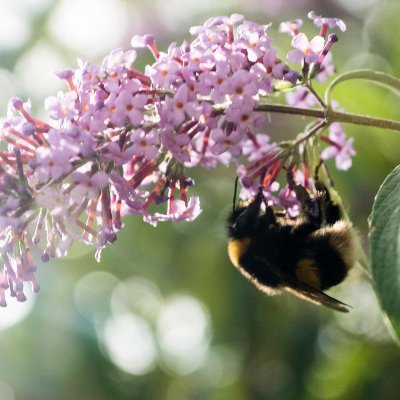 ByGitty's profile picture. 