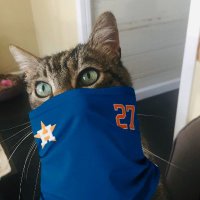 Astros Dan #TEAMROBOUMPS (@astrosdan) 's Twitter Profile Photo