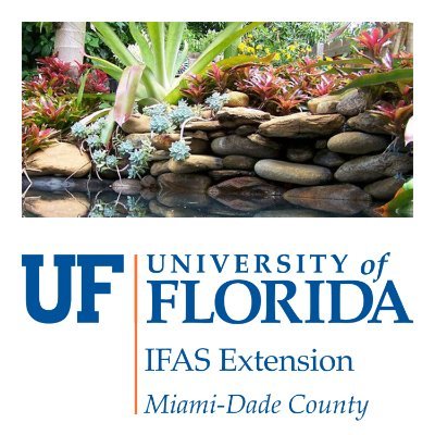 We promote sustainable landscapes through public outreach focusing on the 9 FL-Friendly Landscaping principles + Master Gardeners + Irrigation Rebates