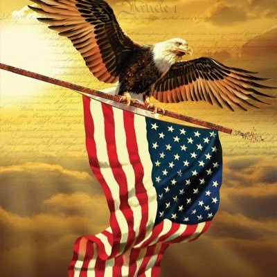 prspeechfree's profile picture. Believer on freedom of speech, capitalism and free markets.