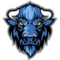 Liberty High School Football (@bison_lhs) 's Twitter Profile